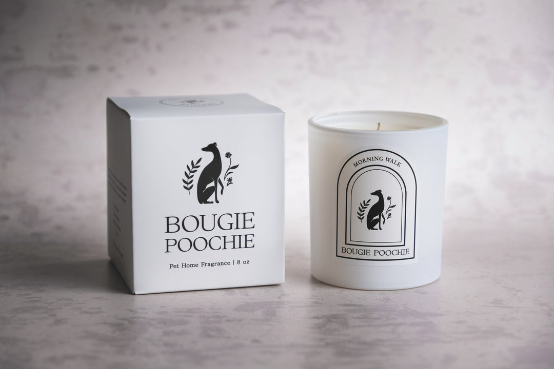 Morning Walk Candle