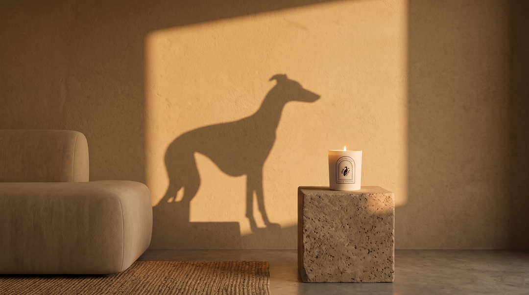 Luxury Candles for Dog Owners, Considered