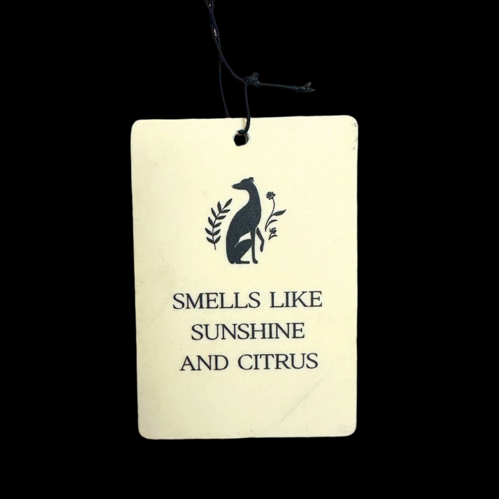 Smells like Citrus and Sunshine Car Air Freshener