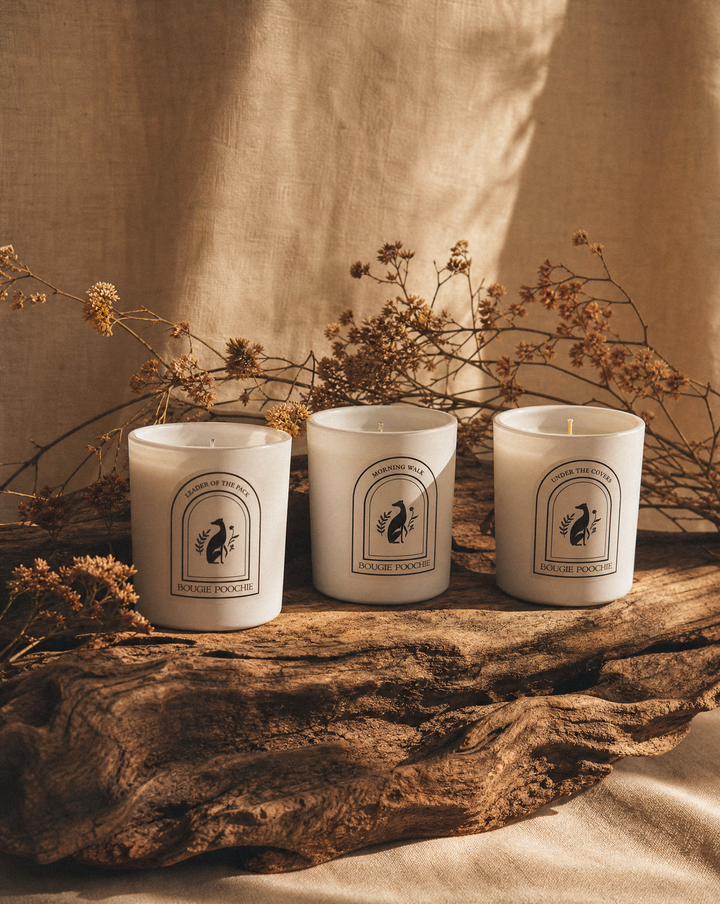 Leader of the Pack Candle