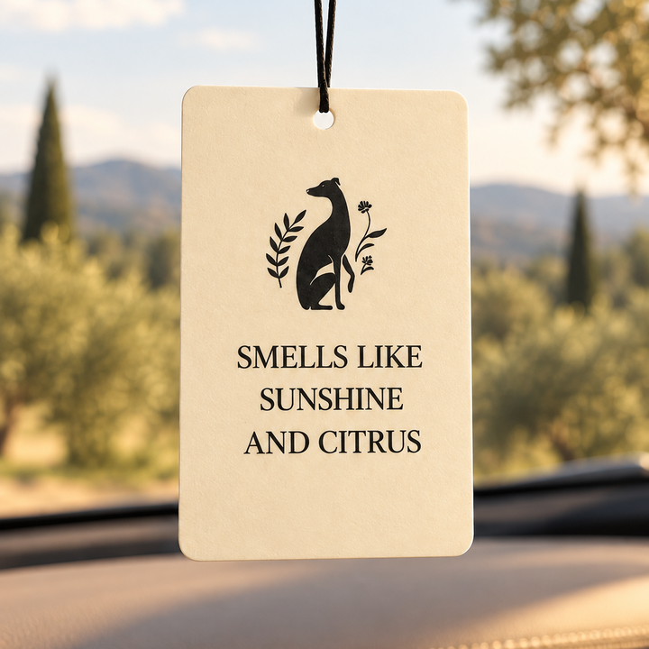 Morning Walk Car Air Freshener