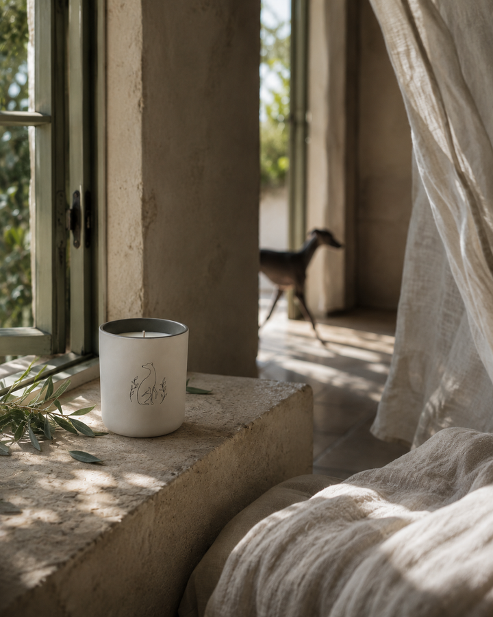 Morning Walk Candle