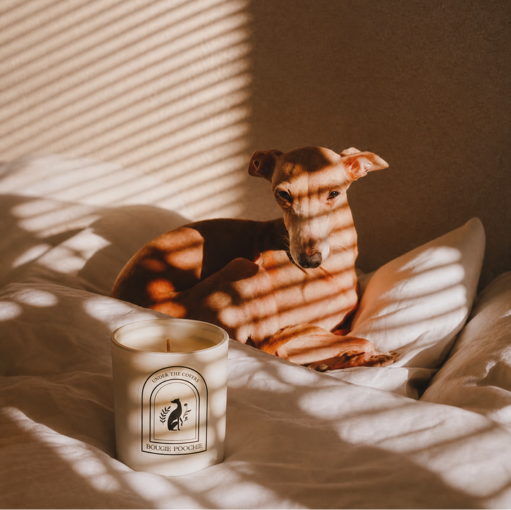 Under The Covers Candle