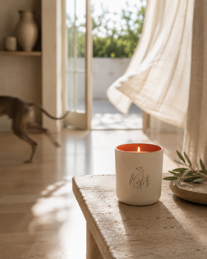 Zoom Zoom Candle