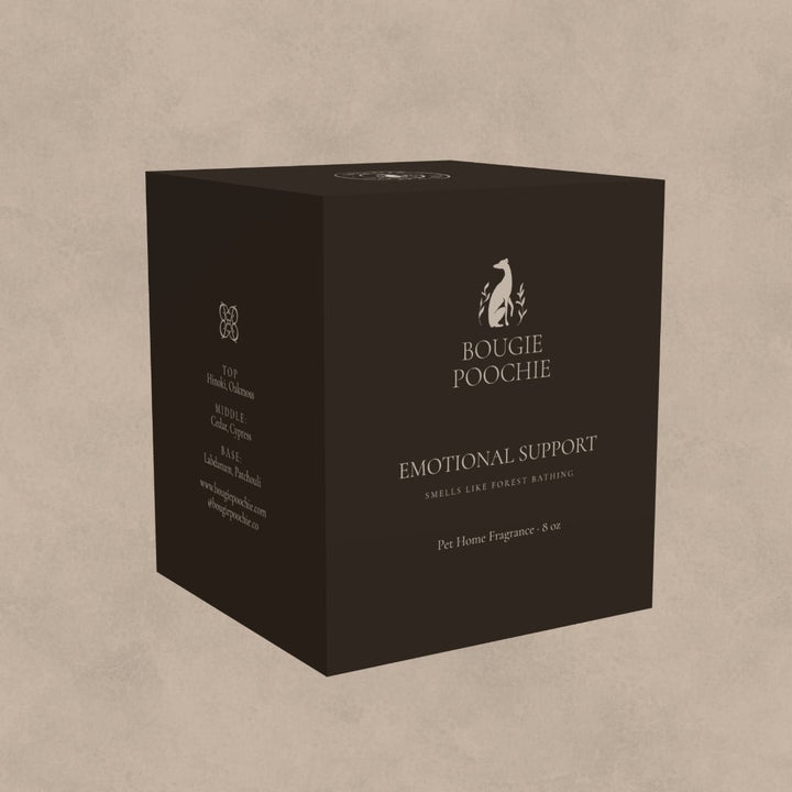 Emotional Support Candle